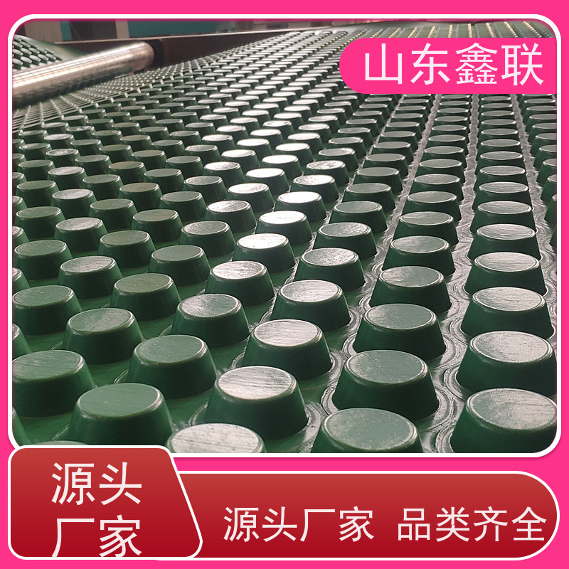 鑫联定制排水板 3m*10m 抗压高蓄水滤水 土工车库顶板专用