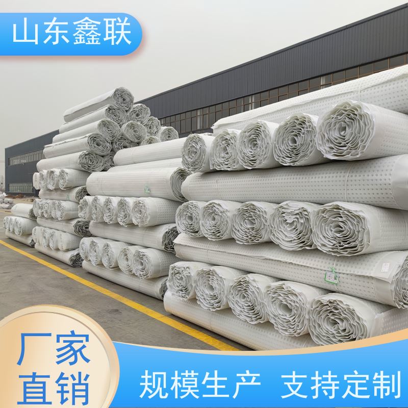 鑫联新新 H25凹凸型高密度聚乙烯材质 屋顶绿化排水板 支持定制