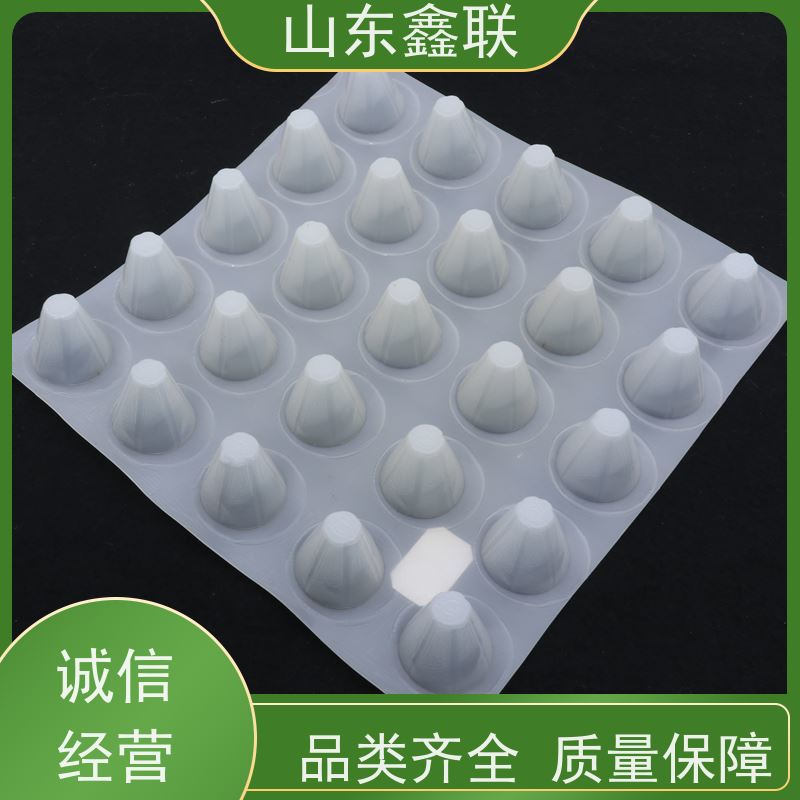 车库顶板绿化种植生产厂家 阳台蔬菜花草阻根刺滤水板蓄排水板