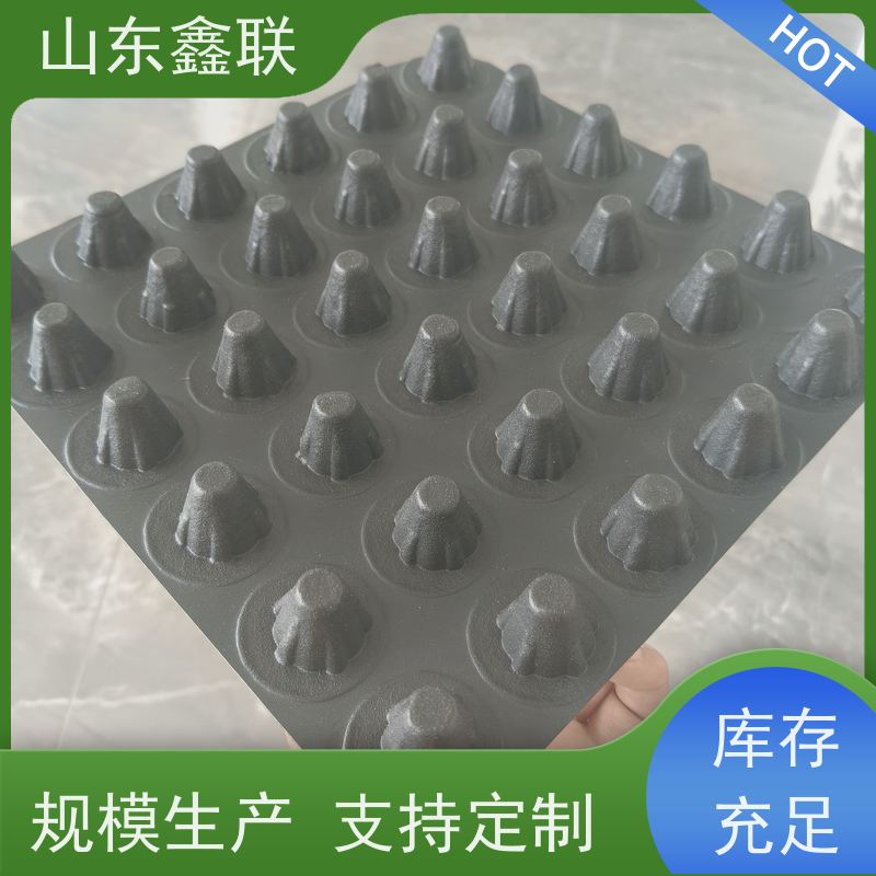 聚乙烯排水塑料黑 PE楼顶花园车库排水板hdpe蓄滤水板屋顶绿化