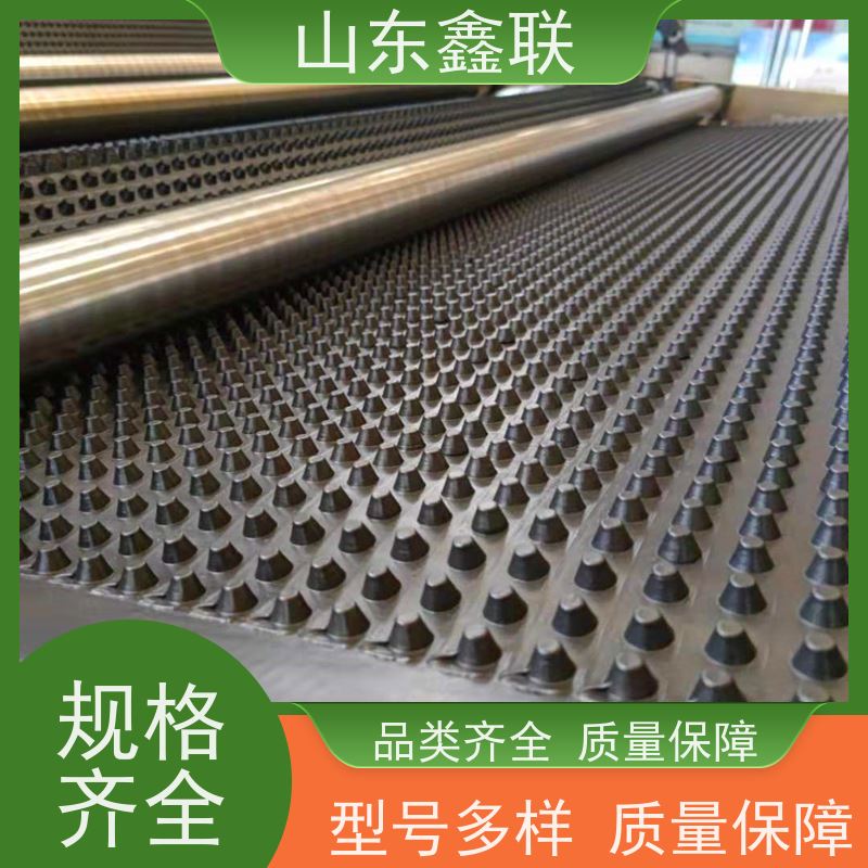 广 东东 莞排水板车库顶板 15mm 2公分塑料排水凸片