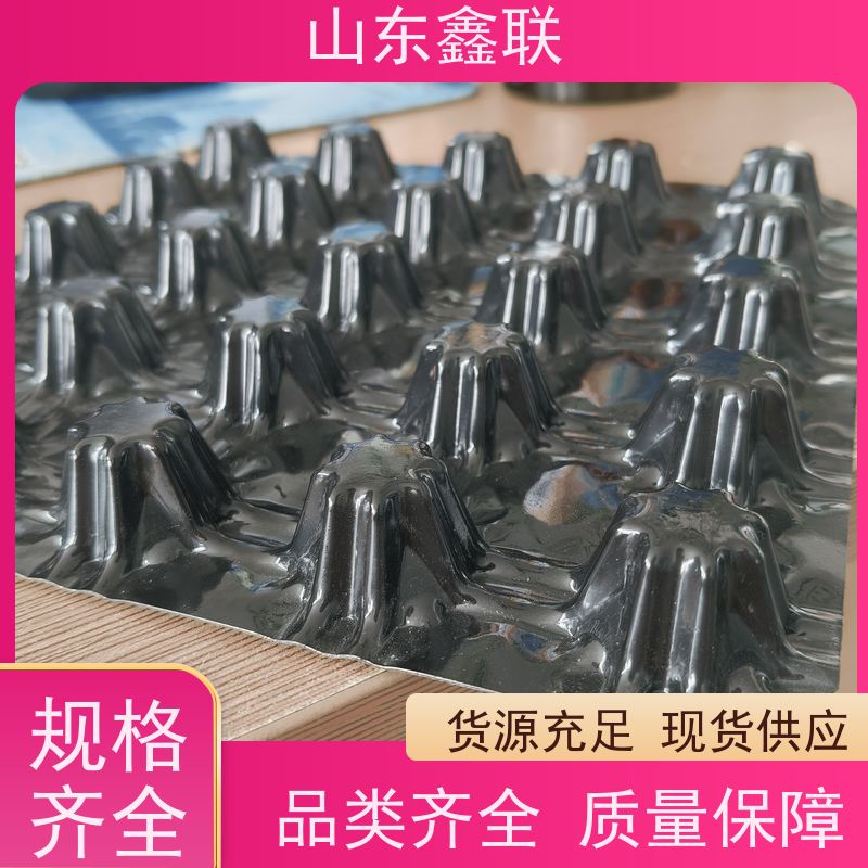 聚乙烯PE排水板 高强度耐磨塑料板 加厚pe板材