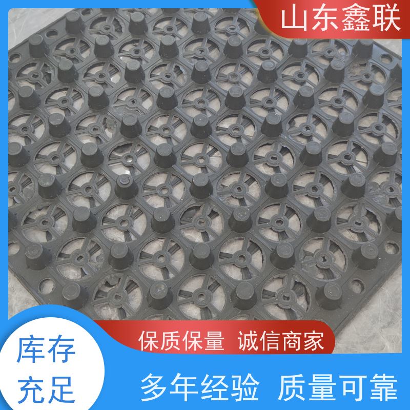 HDPE塑料排水板 屋顶绿化透水板 聚乙烯疏水板