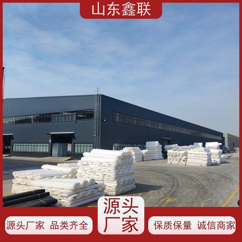 1.8公分高园林绿化鑫联新 hdpe凹凸型防护排蓄水异形片
