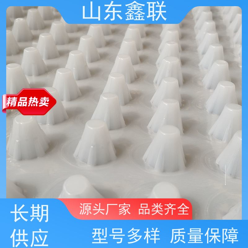 楼顶绿化排水板 高密度聚乙烯疏水板 品质 保 障蓄水板