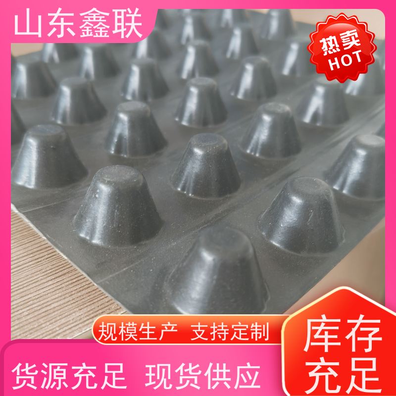 H30塑料排水板 屋顶花园 园林绿化用 疏水板 规格齐全 定制生产