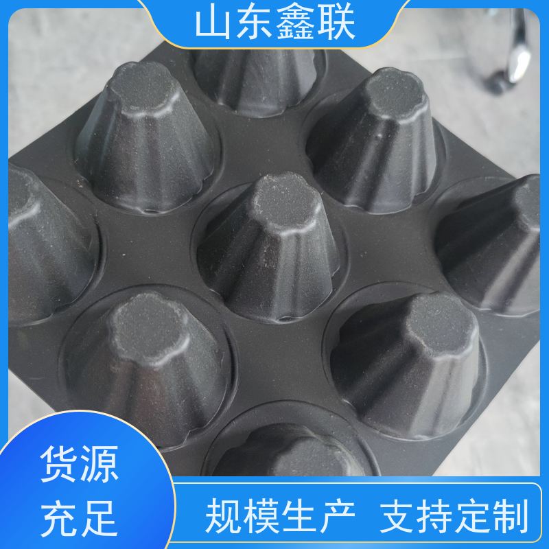 九 江排水板 实力工厂 高密度聚乙烯排疏版种植阻根滤水