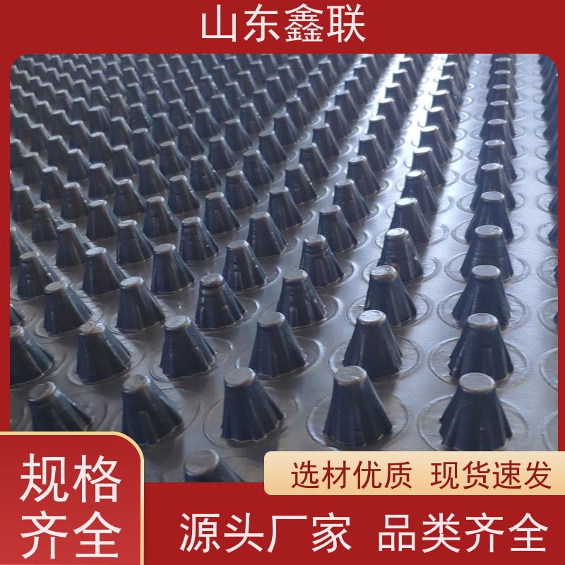 万高 建筑物基础上层 聚乙烯排蓄水板 塑料滤水板 20mm 25mm