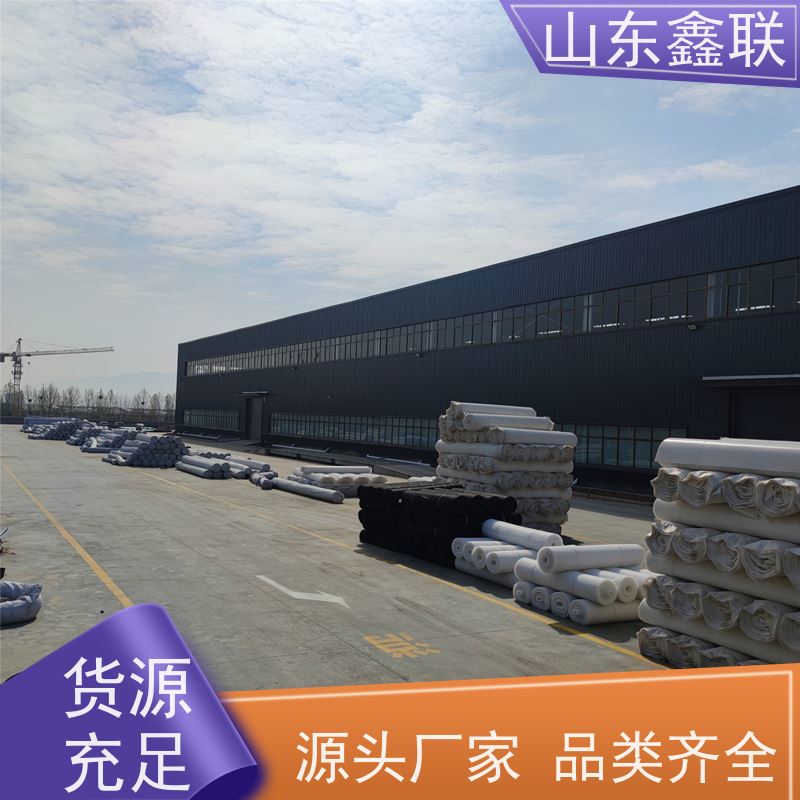 绿化防排水板 h30车库塑料排水板 高分子HDPE鑫联新加工定制