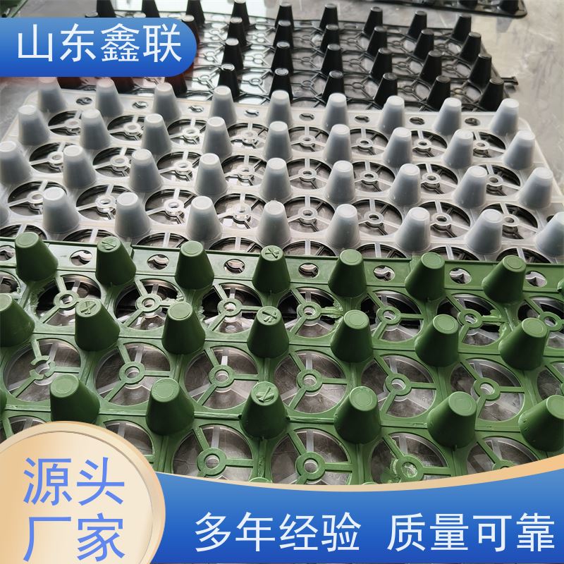 塑料凹凸绿色排水板10mm 楼顶花园绿化HDPE疏水板