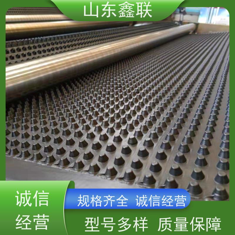 高密度聚乙烯凸凹排蓄水板 回填土H30疏水板土工布 毛细排水板