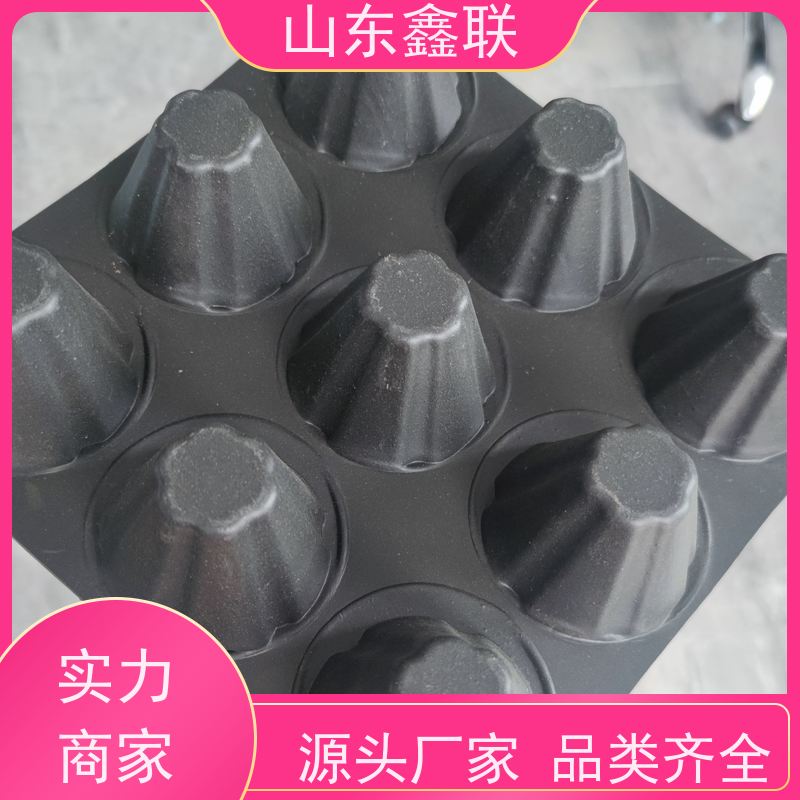鑫联新 塑料屋顶绿化楼顶花园阻根防滤水板 高强度导疏水板
