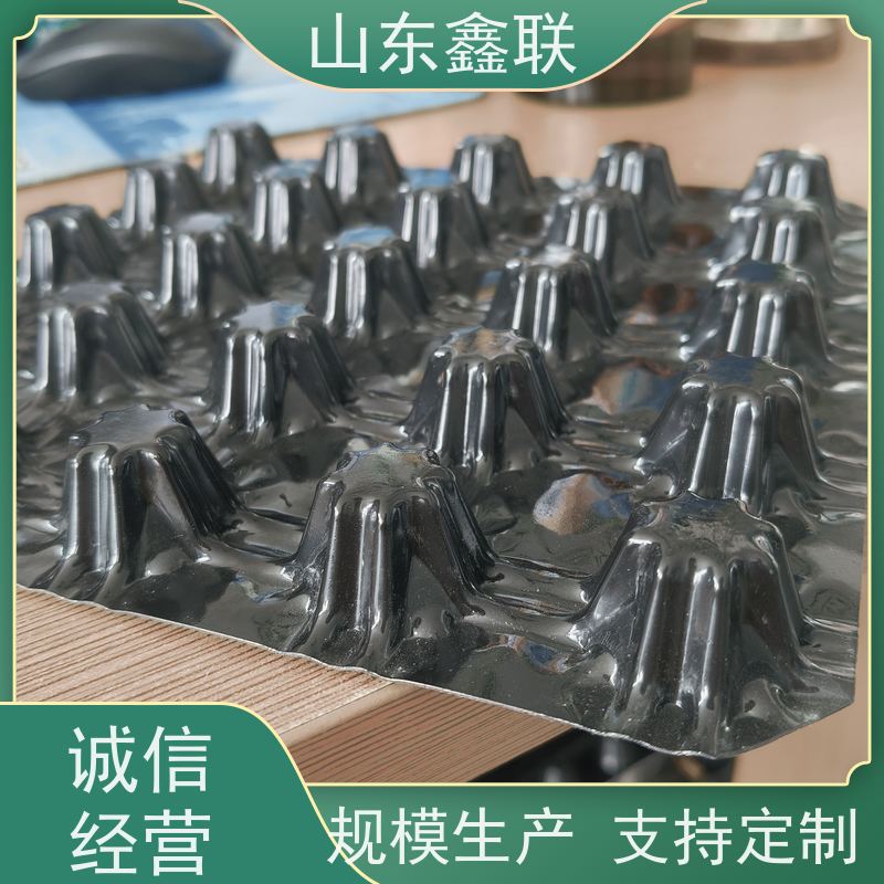 塑料排水板园林绿化屋顶花园凹凸滤水板 疏水板坚凝