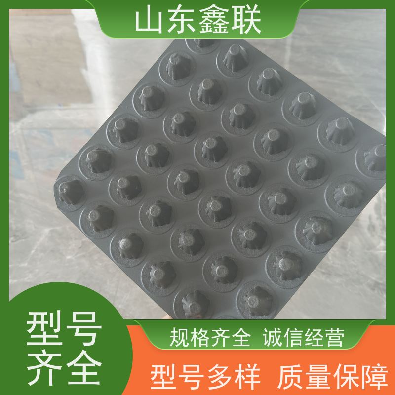 塑料疏水板 H30立体透水板 市政工程用排水板 鑫联新牌