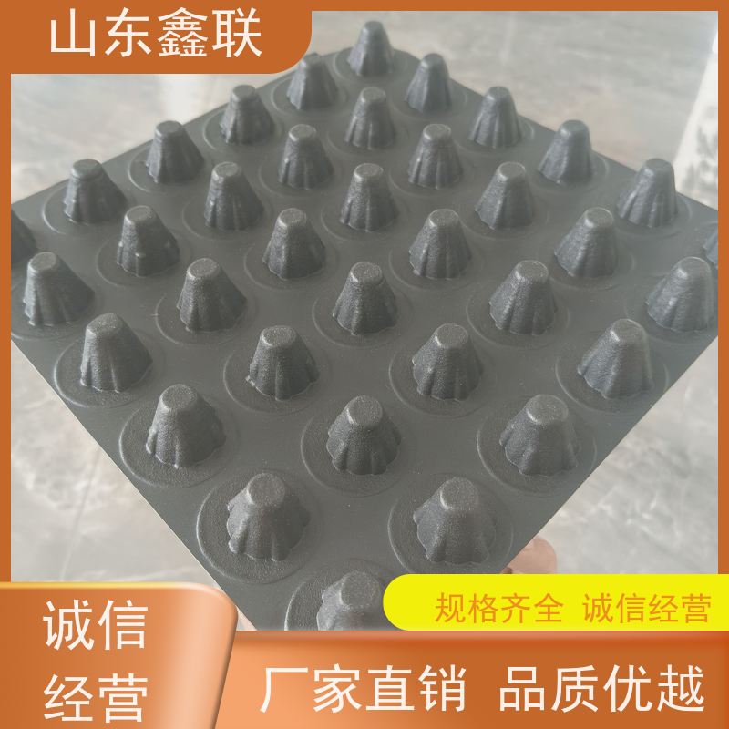 鑫联 高密度聚乙烯疏水板 HDPE地下车库鑫联新 加厚环保