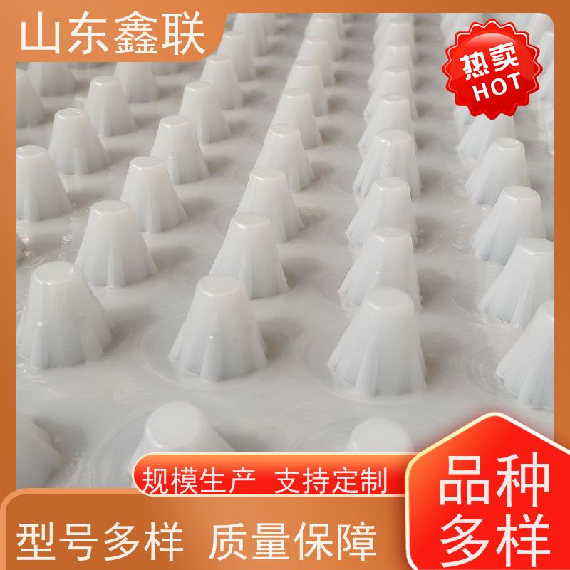 洛 阳塑料排水板 凹凸型卷材车库绿化疏水板 8mm-60mm 及时发货