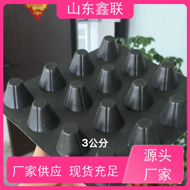 双面鑫联新屋顶绿化楼顶花园凹凸塑料阻根防水疏水滤水板蓄水板
