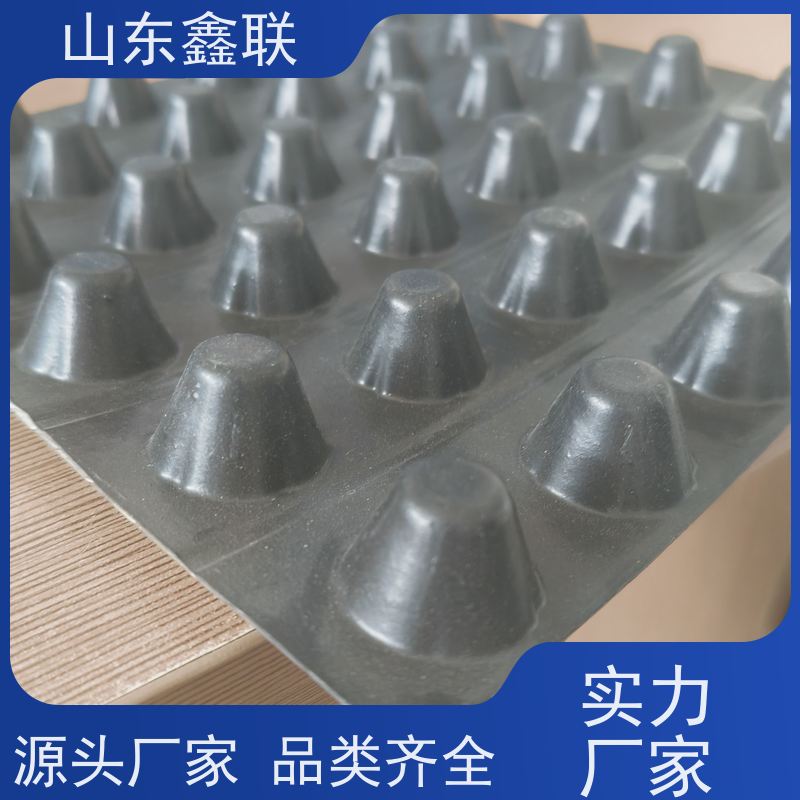 凹凸型排蓄水板 H20 H25 H30厚塑料排水板 聚丙烯PE疏水板