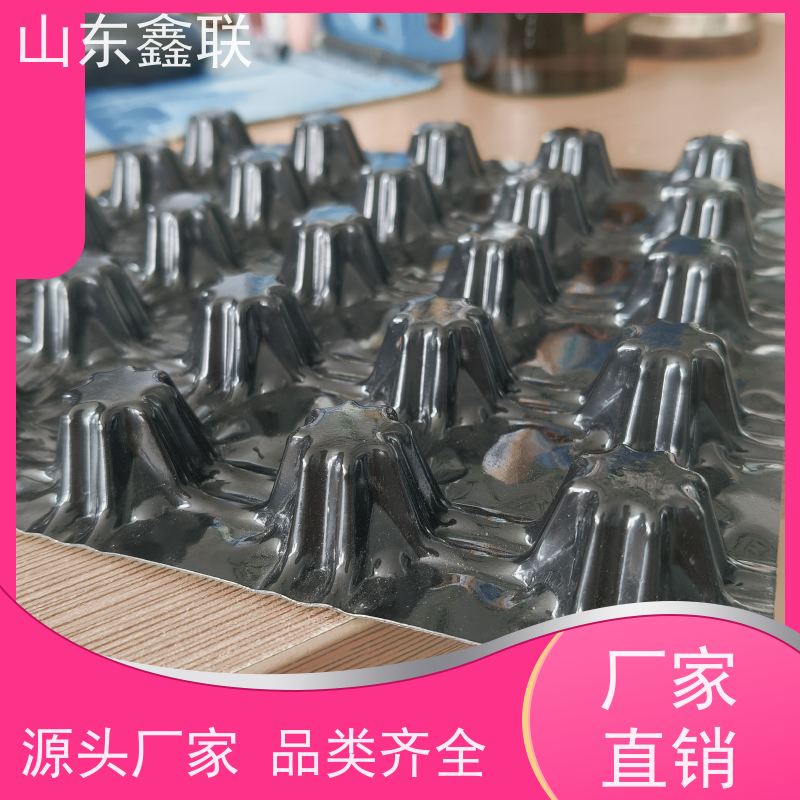 15mm虹吸排水板 透气保温强 1200g 网状交织承接施工 质量保障