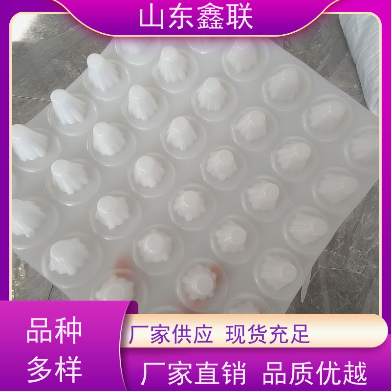 厚板蜂窝板 PVC塑料排水板 种植屋面用 高强度疏水板鑫联新