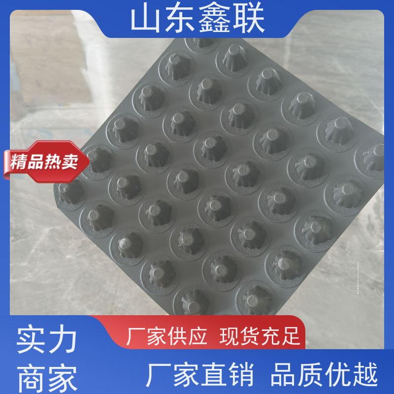鑫联新 凹凸型塑料排水板 HDPE滤水板渗水疏水用