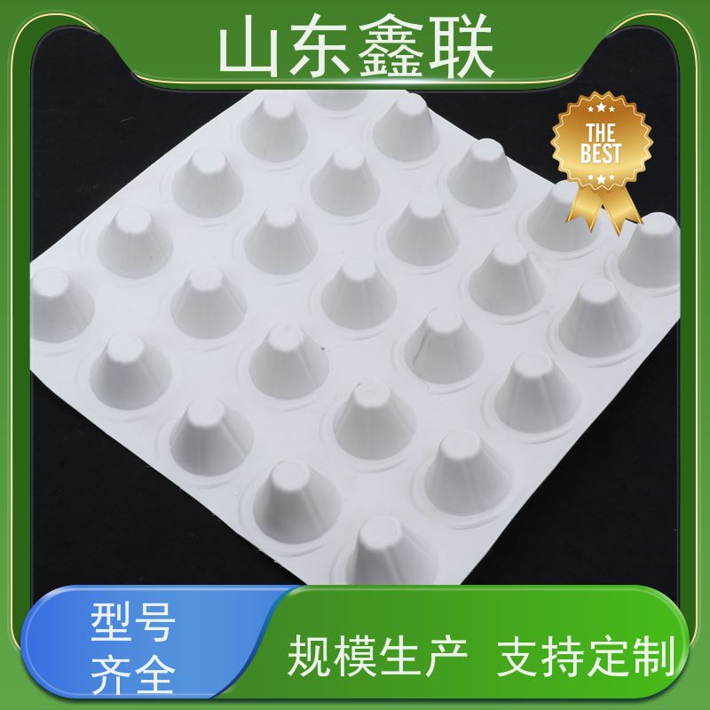 屋顶花园排蓄水板 地下车库底板疏水板 50cm储水垫层
