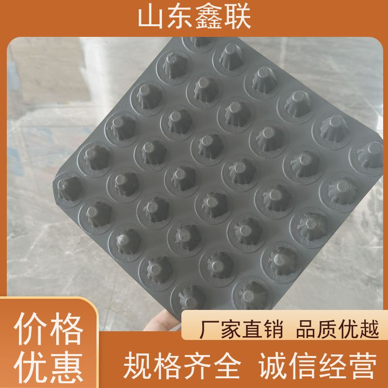 地下室顶板种植塑料鑫联新 30厚聚乙烯排水凸片