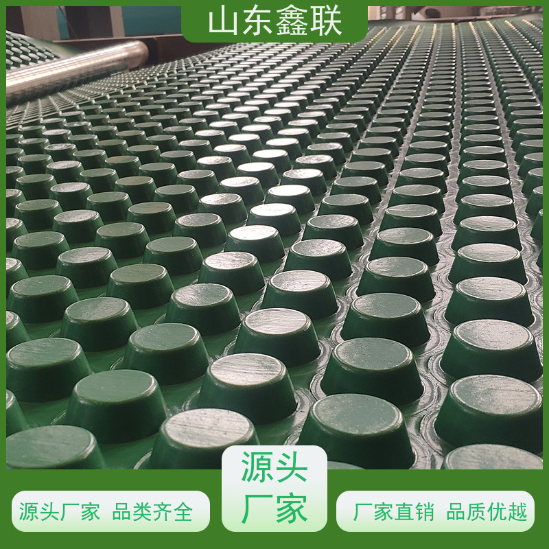 塑料鑫联新 屋顶花园种植网状交织排 渗水疏水 助路
