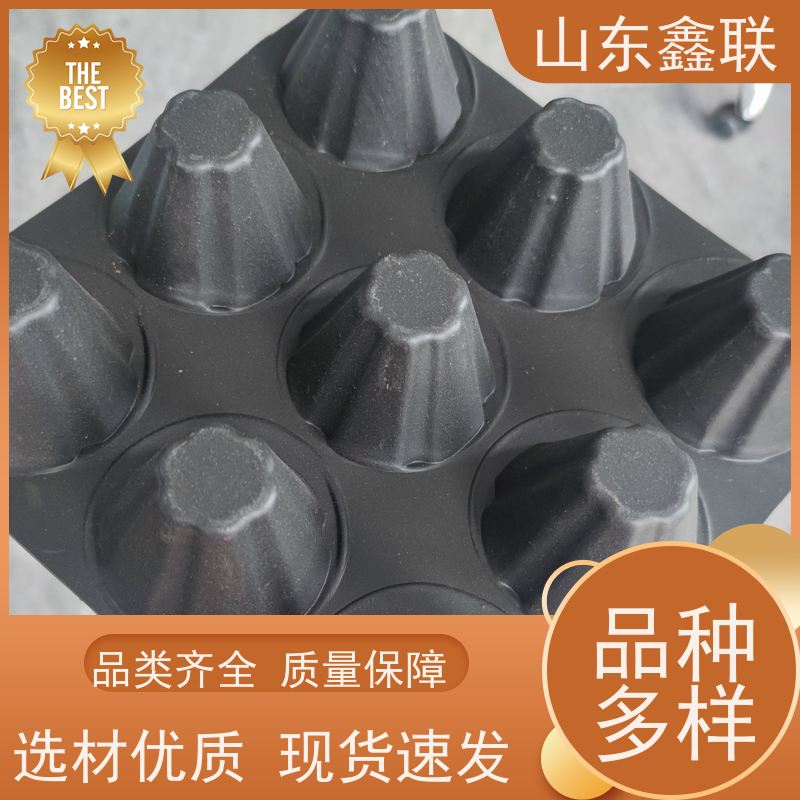 拉 萨排水板实力工厂 公路植草型滤水板蜂窝型塑料保水疏水格片