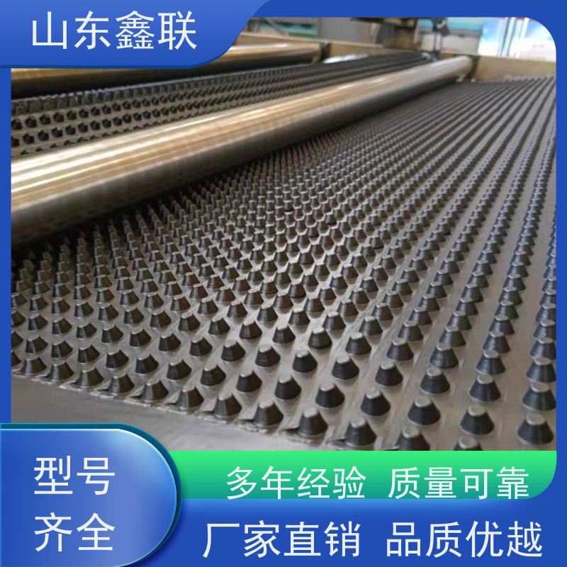 乌 鲁木齐 鑫联新厂家 样品免费 全新料白色聚乙烯排蓄水层疏水板