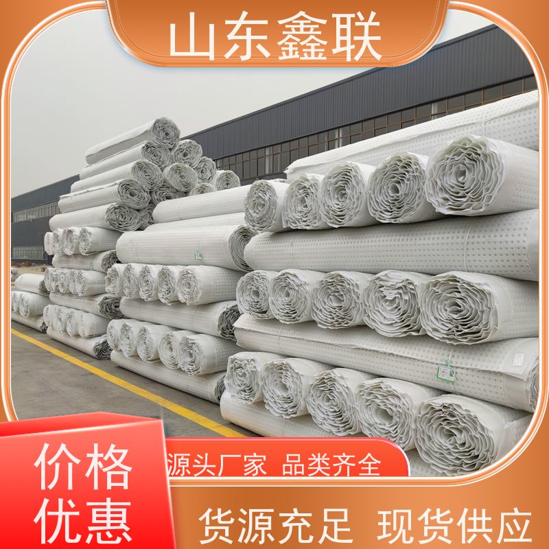 塑料排水板厂 家 支持定制生产车库顶板高抗压凸点向上疏水板