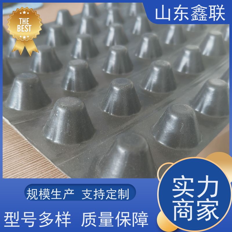 车库顶板凹凸排水板 园林绿化HDPE塑料疏水板 滤水板 8mm-60mm