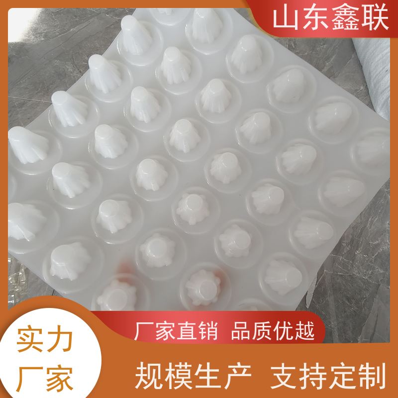 龙旗 凹凸疏水板 H25车库塑料排水板屋面种植排蓄水板
