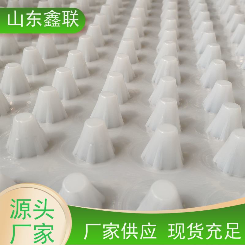 PVC塑料虹吸排水板 渗蓄排防护一体化 提供施工
