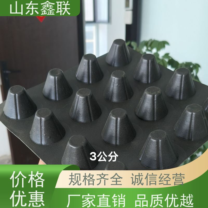 3.0CM凹凸型卷材排水板 屋顶花园疏水板 草坪绿化蓄水板