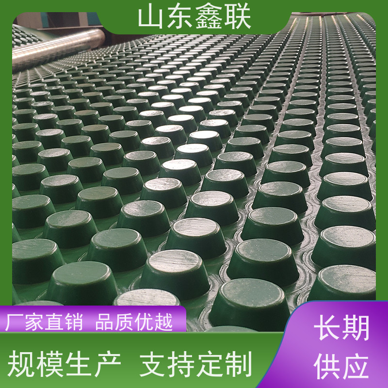 隧道内衬排水板 6公分黑色高抗压塑料导水疏水板 蓄水板