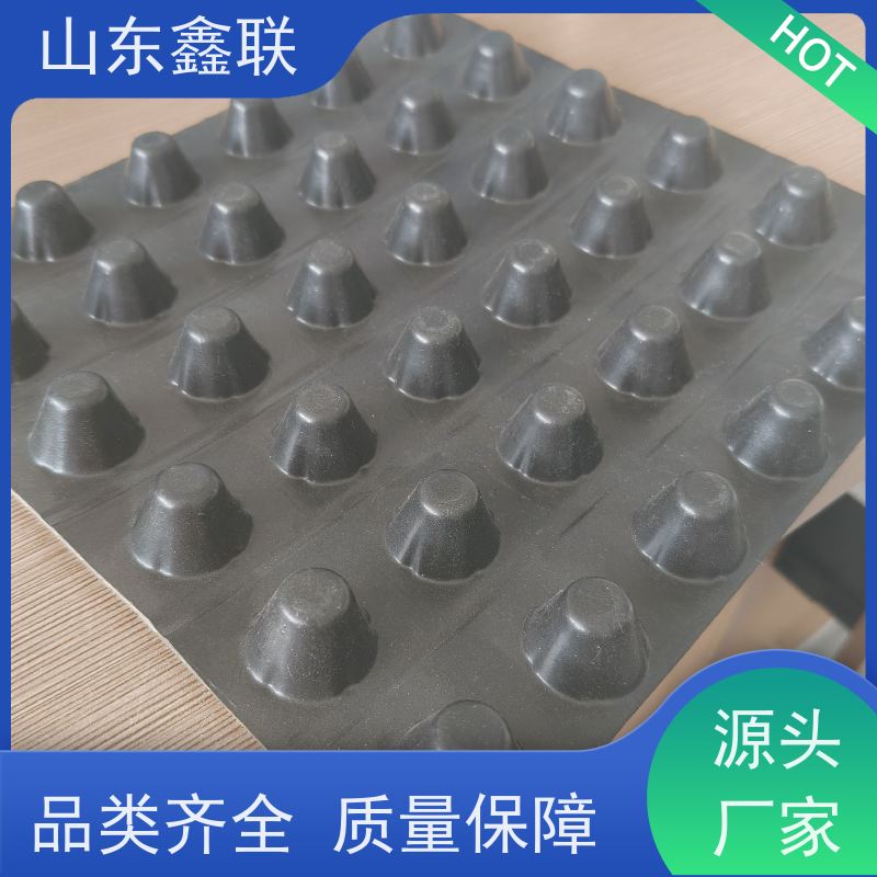 排水板减少防水静水压 高密度聚乙烯花园卷材滤水板16mm