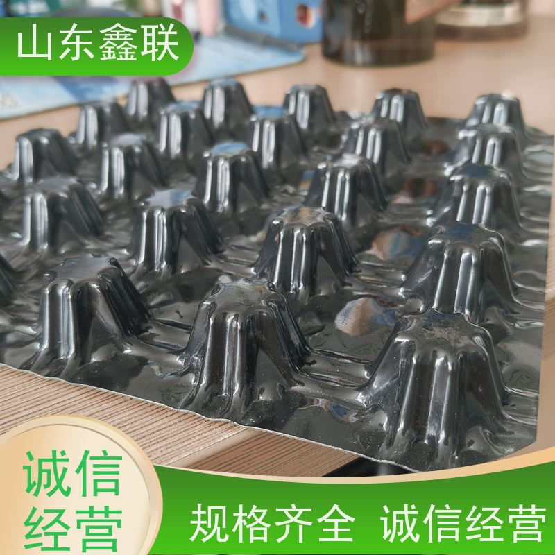 车库顶板虹吸排水系统 海绵城市塑料排水板 黑色凹凸复合蓄排板
