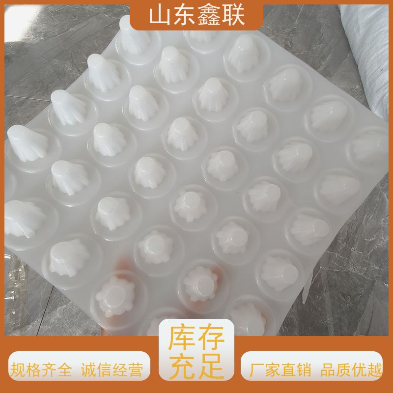 20厚塑料排水板 高强度 楼顶花园绿化按需生产 宽度 3米