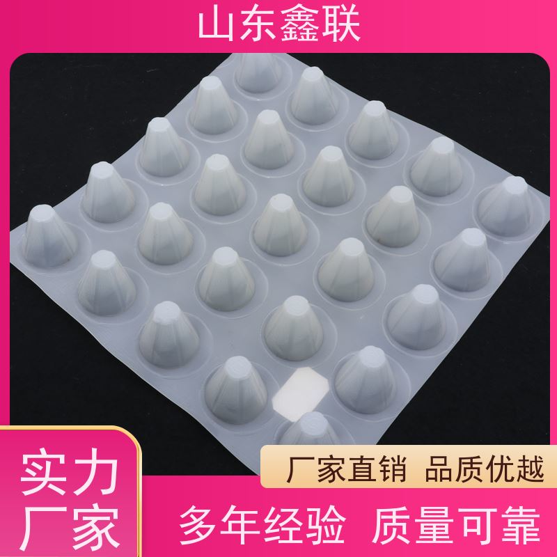 六 安 固态蓄水模块及 下凹绿地 高密度聚乙烯防排保护板