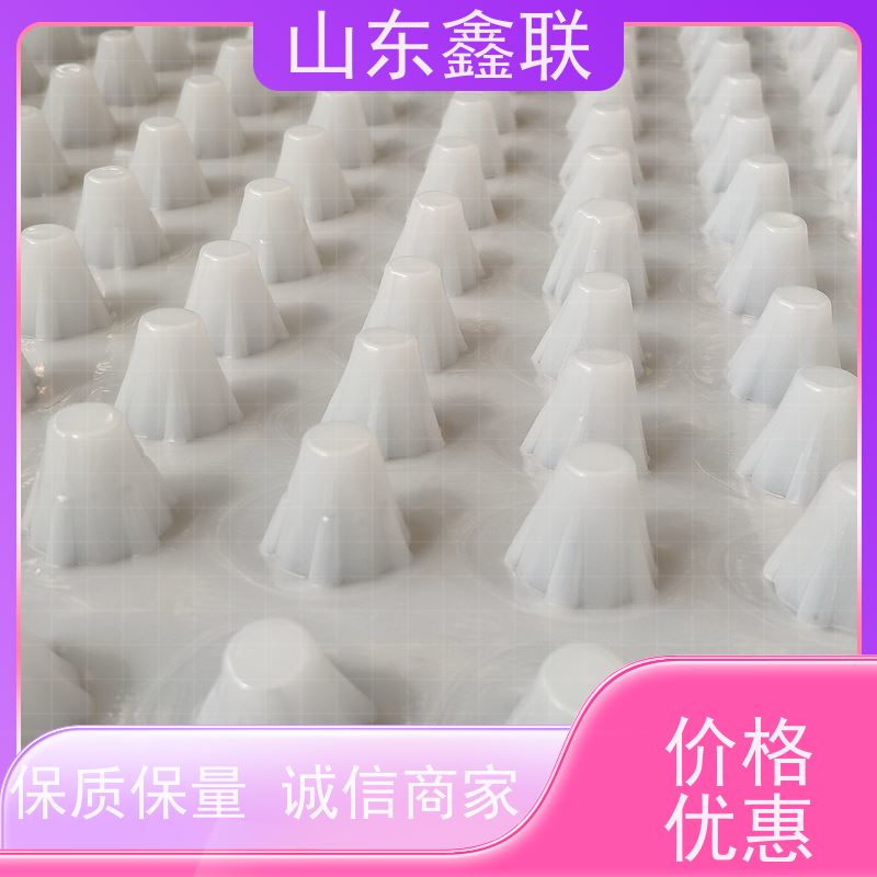 阻根排水板 高密度聚乙烯防 耐根穿刺 虹吸复合系统