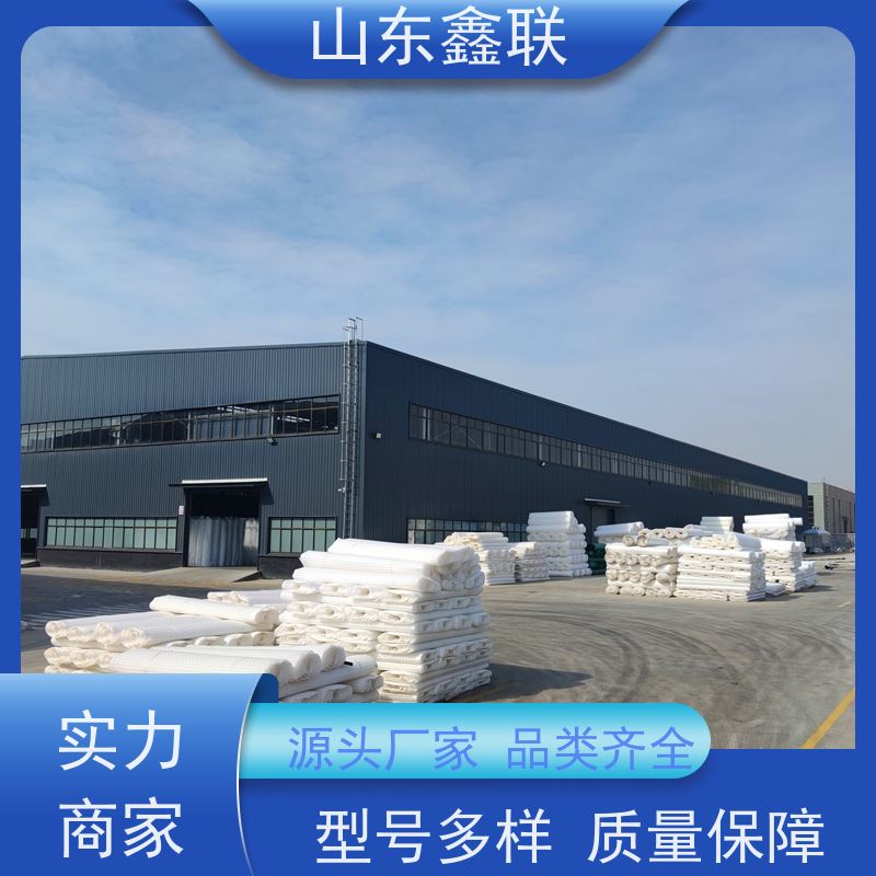 鑫联新 塑料土工网格 10—20厚网状交织排水板 高质量 耐腐蚀