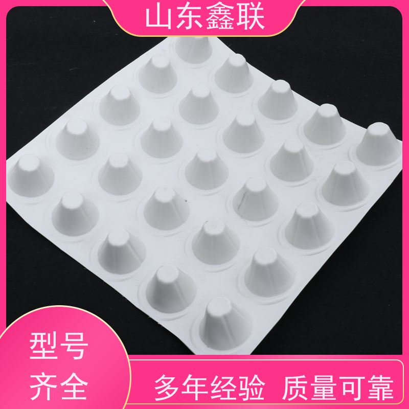 ped18高分子防护排蓄水异型片 白色纯新料高密度聚乙烯HDPE