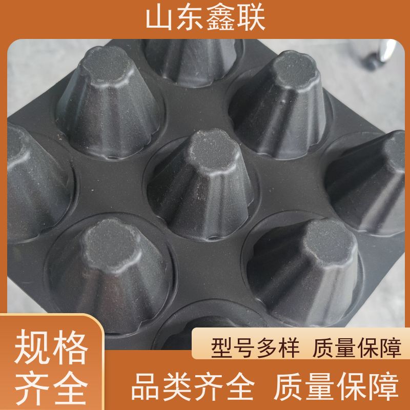 固态蓄水模块及 高密度聚乙烯防排保护板 雨水罐 排气装置