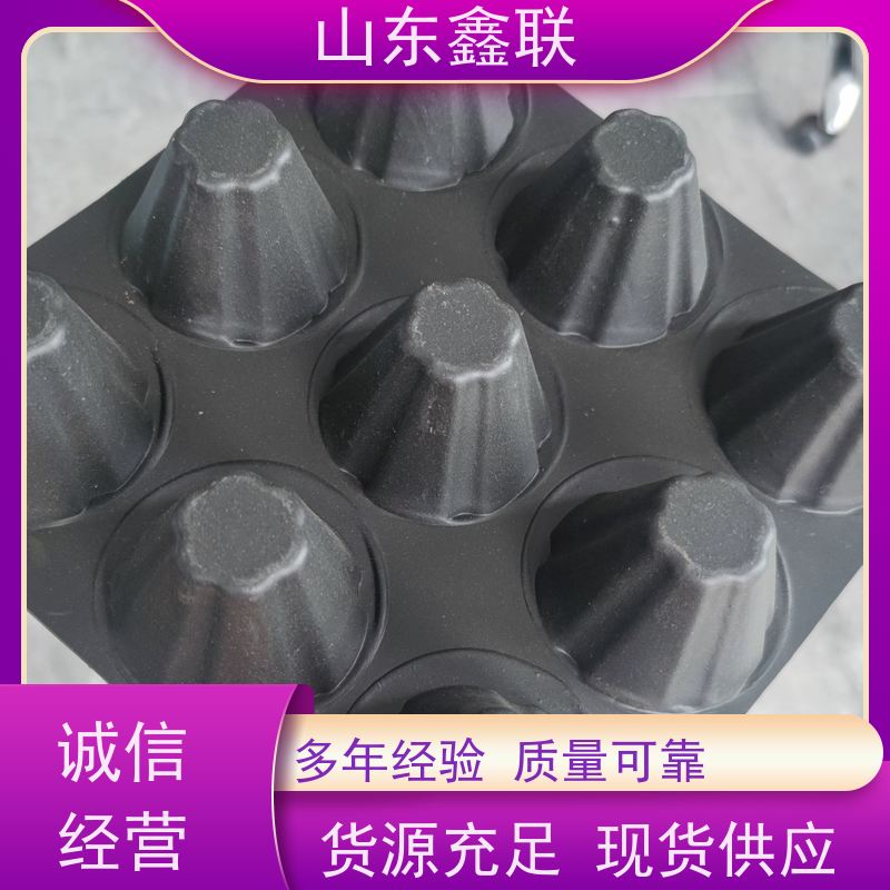 鑫联新 12厚蜂窝型保水排水格片 塑料凸片排水层 实力品牌