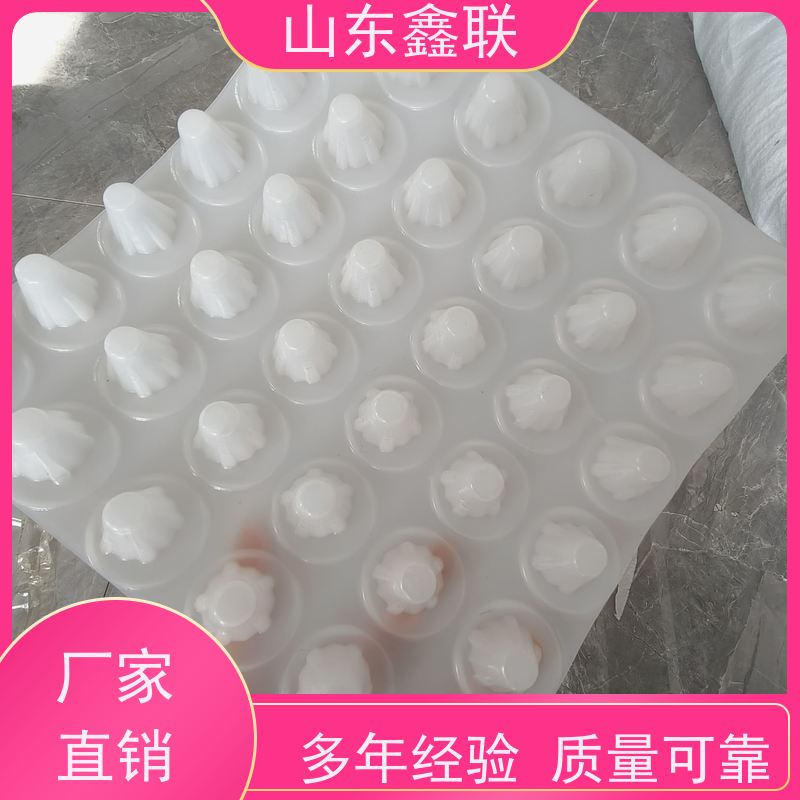 塑料鑫联新 屋顶绿化屋面种植使用保持蓄水透气 凹凸型蓄排 水板