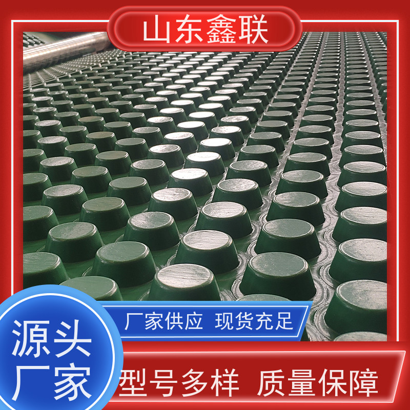 黑色土工席垫垃圾填埋场渗排水网垫 渗排水片材网状交织排水板