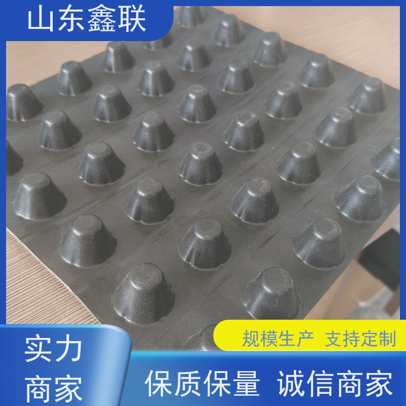 20mm排水板 高密度聚乙烯 省时 省力又节能 节省投资 降低建筑物荷载