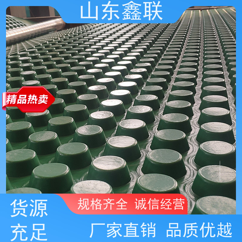 雨水收集 海绵城市 车库顶板虹吸 聚乙烯排水板 高分子异形片