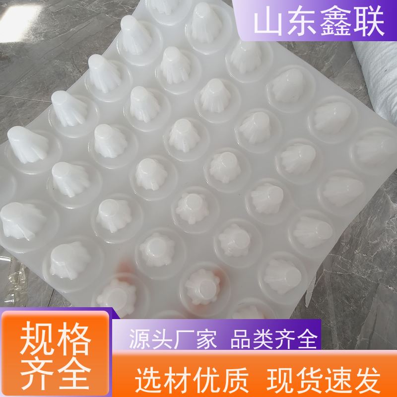 质量稳定 聚乙烯H30排疏蓄水板 地下底板专用蓝色大杯口2公分排水板